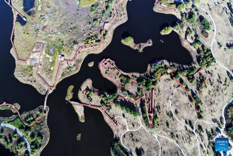 Heilongjiang  :  les paysages d'automne du parc des zones humides de Harbin