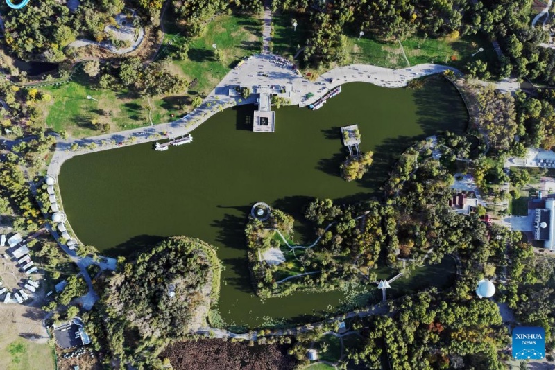 Heilongjiang  :  les paysages d'automne du parc des zones humides de Harbin