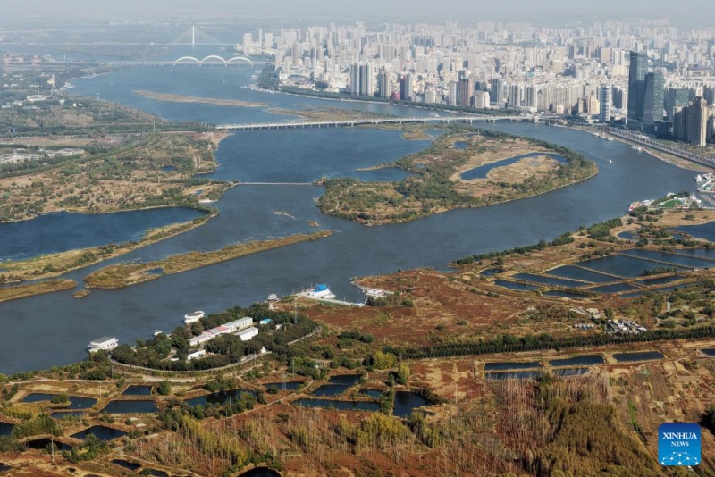 Heilongjiang  :  les paysages d'automne du parc des zones humides de Harbin