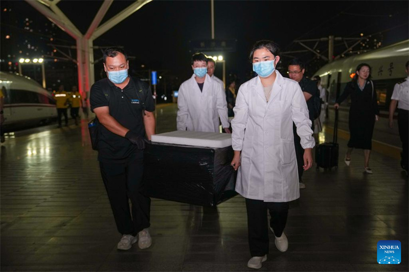 Des manuscrits chinois sur soie vieux de 2 300 ans de retour après près de huit décennies passées à l'étranger