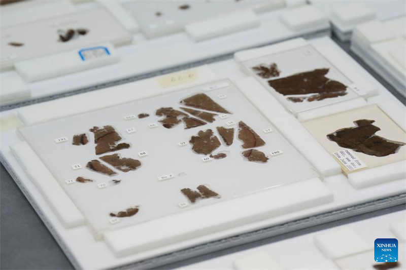 Des manuscrits chinois sur soie vieux de 2 300 ans de retour après près de huit décennies passées à l'étranger