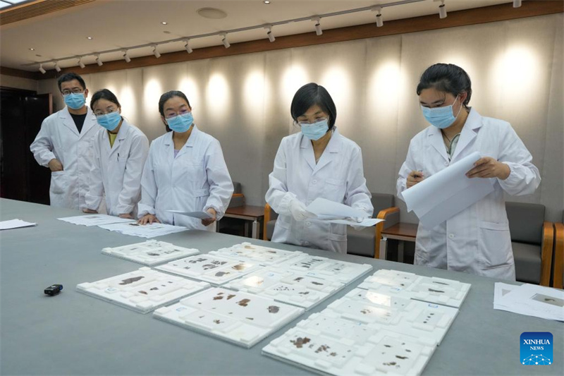 Des manuscrits chinois sur soie vieux de 2 300 ans de retour après près de huit décennies passées à l'étranger