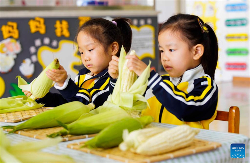 Des événements thématiques organisés dans toute la Chine pour la Journée mondiale de l'alimentation