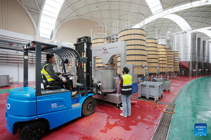 Ningxia : la ville de Minning prospère grâce au vin dans un contexte de transformation écologique