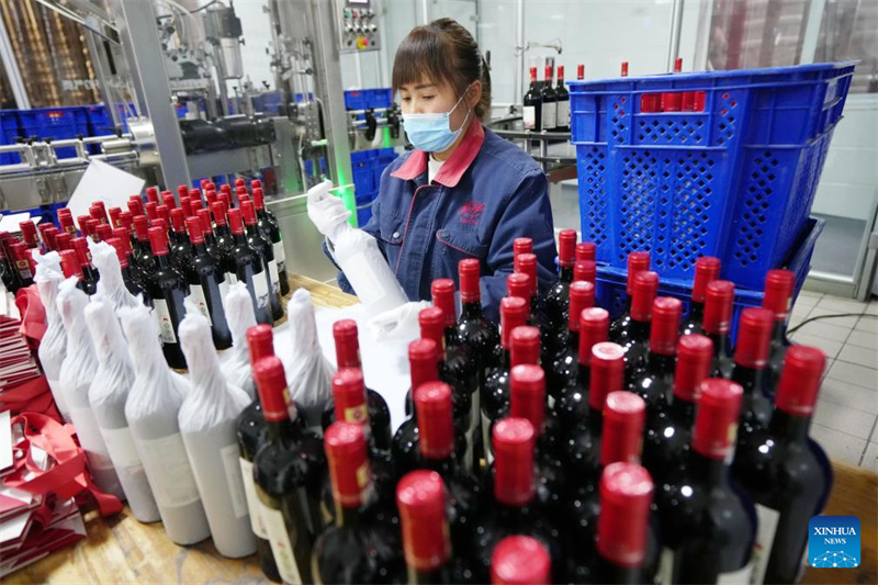Ningxia : la ville de Minning prospère grâce au vin dans un contexte de transformation écologique