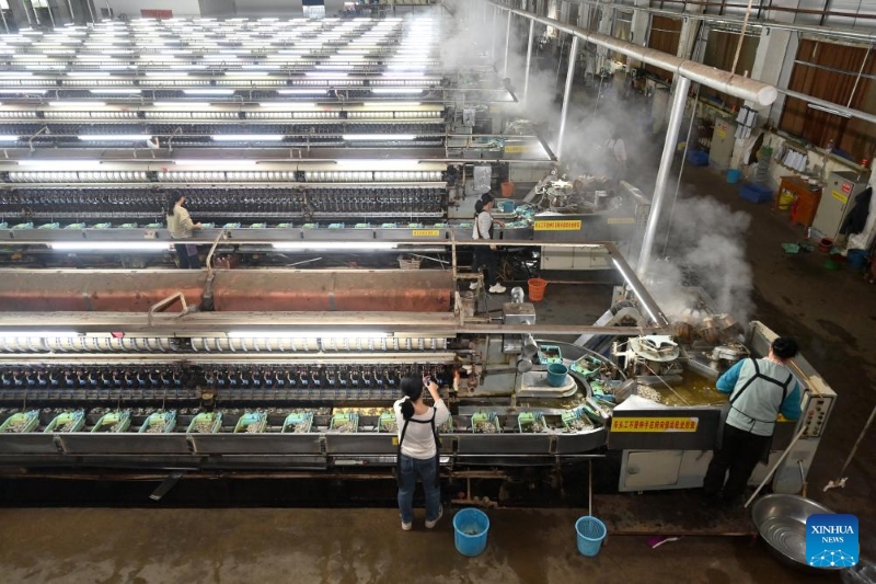 Guangxi :  l'industrie de la sériciculture stimule la croissance des revenus et améliore les conditions de vie des agriculteurs de Xincheng