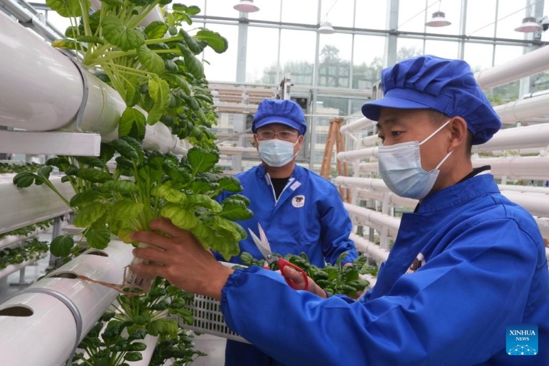 Zhejiang : un parc agricole intelligent alimenté par les sciences et technologies inauguré à Zhuji