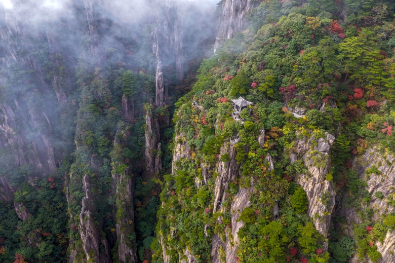 Anhui : les pics et forêts de Huangshan illuminés par les couleurs d'automne