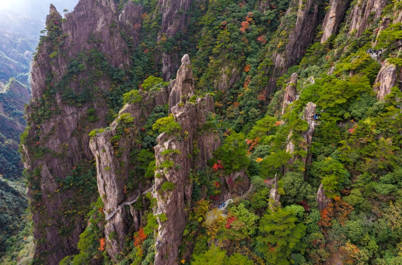 Anhui : les pics et forêts de Huangshan illuminés par les couleurs d'automne