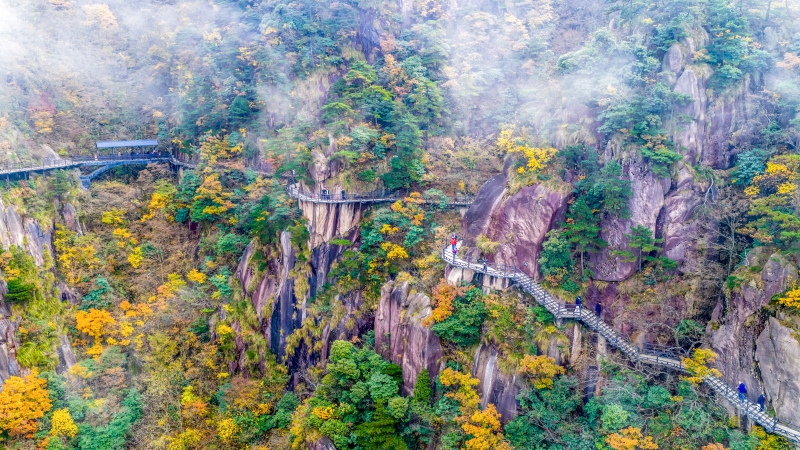 Anhui : une promenade sur une passerelle panoramique pour découvrir les magnifiques couleurs d'automne à Chizhou