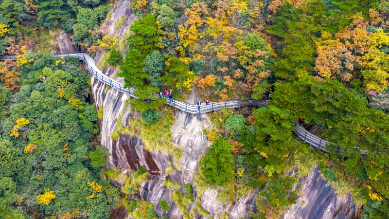 Anhui : une promenade sur une passerelle panoramique pour découvrir les magnifiques couleurs d'automne à Chizhou