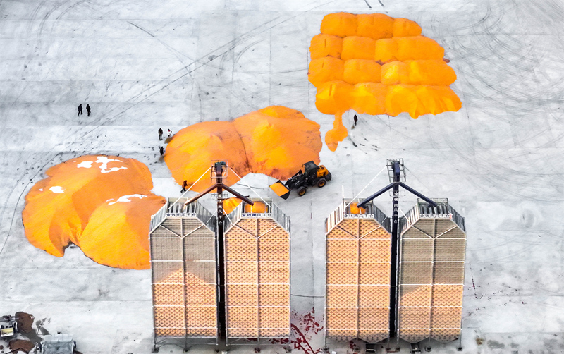 Mongolie intérieure : stockage scientifique des céréales, rendement élevé et revenus accrus dans la Ligue de Xing'an