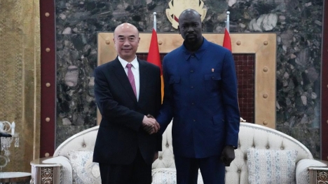La Chine prête à approfondir sa coopération mutuellement bénéfique avec la Guinée