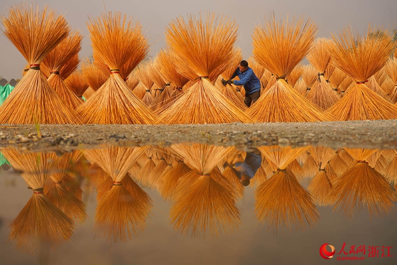 Zhejiang : la fibre de bambou sèche au soleil et l'industrie prend un nouvel élan à Longquan