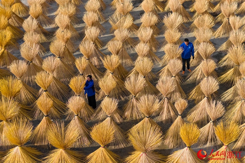Zhejiang : la fibre de bambou sèche au soleil et l'industrie prend un nouvel élan à Longquan