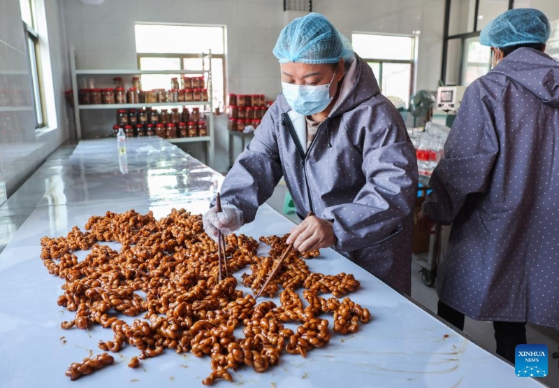 Zhejiang : la production traditionnelle de sucre roux à Yiwu