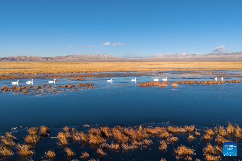 Gansu : deux lacs nourrissent des zones humides écologiques dans le désert de Gobi