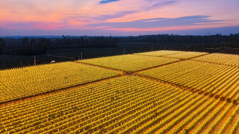 (Photo/Pic.people.com.cn)