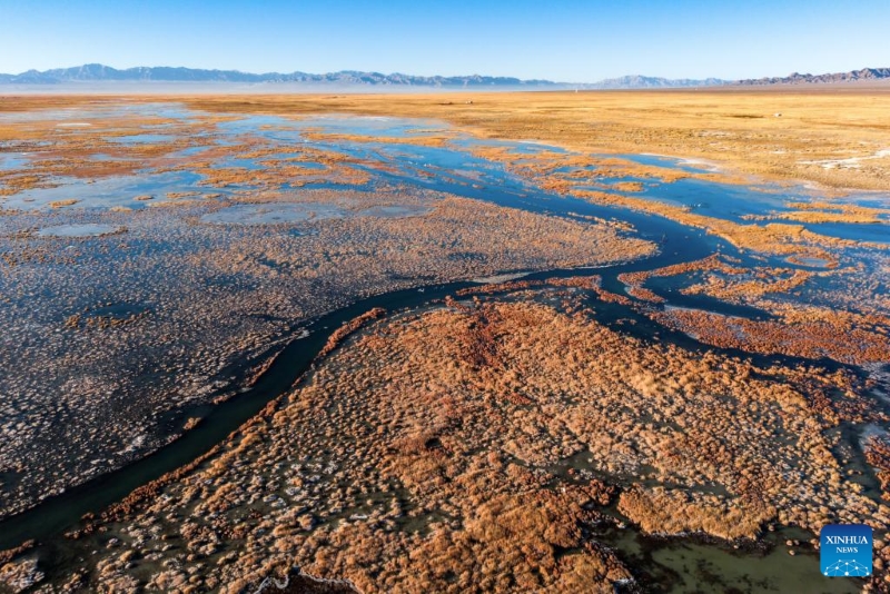 Gansu : le corridor de Hexi fournit des habitats et des ressources alimentaires aux oiseaux migrateurs