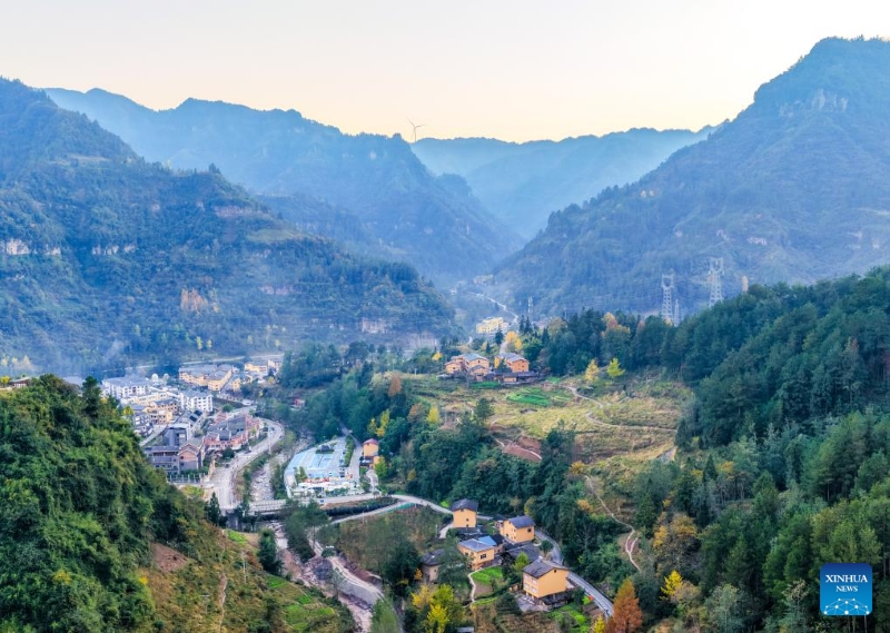 Chongqing : le canton de Zhongyi développe des industries caractéristiques pour stimuler le développement rural