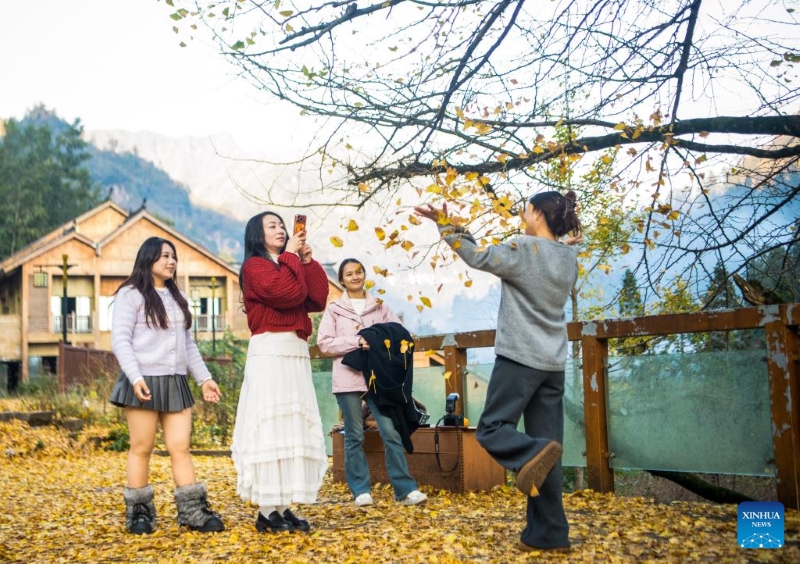 Chongqing : le canton de Zhongyi développe des industries caractéristiques pour stimuler le développement rural