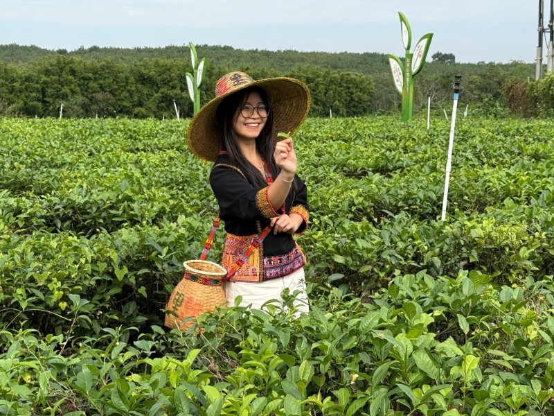 Hainan : les experts étrangers découvrent la culture du thé biologique à Baisha