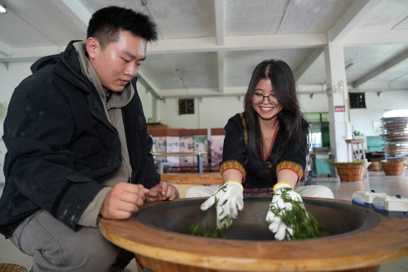 Hainan : les experts étrangers découvrent la culture du thé biologique à Baisha