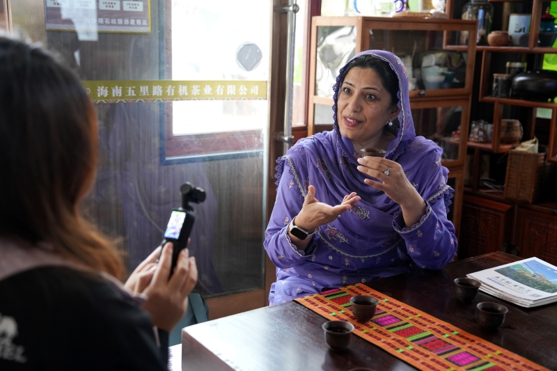 Hainan : les experts étrangers découvrent la culture du thé biologique à Baisha