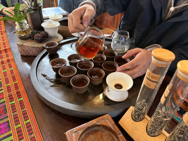 Hainan : les experts étrangers découvrent la culture du thé biologique à Baisha