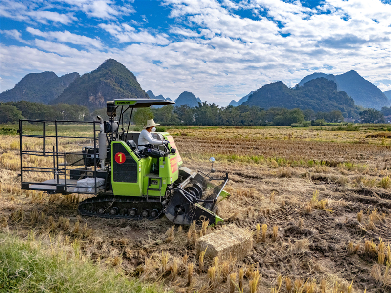 Guangxi : à Hezhou, le recyclage de la paille transforme les déchets en trésor
