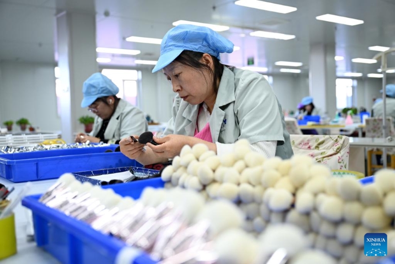Hebei : l'industrie des pinceaux de maquillage stimule l'économie locale du comté de Qingxian