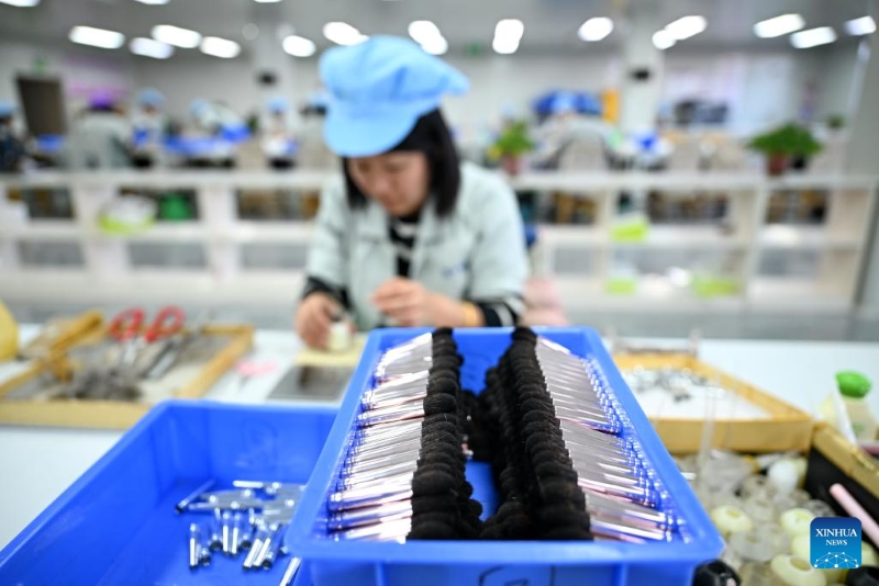 Hebei : l'industrie des pinceaux de maquillage stimule l'économie locale du comté de Qingxian