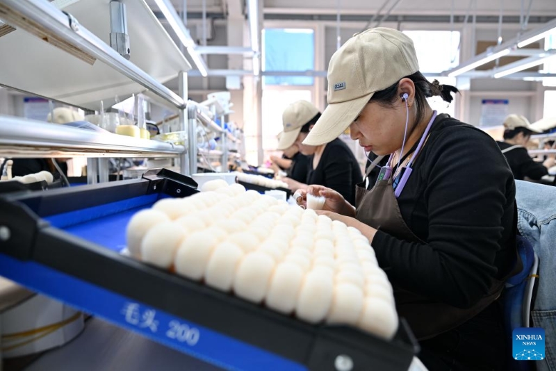 Hebei : l'industrie des pinceaux de maquillage stimule l'économie locale du comté de Qingxian
