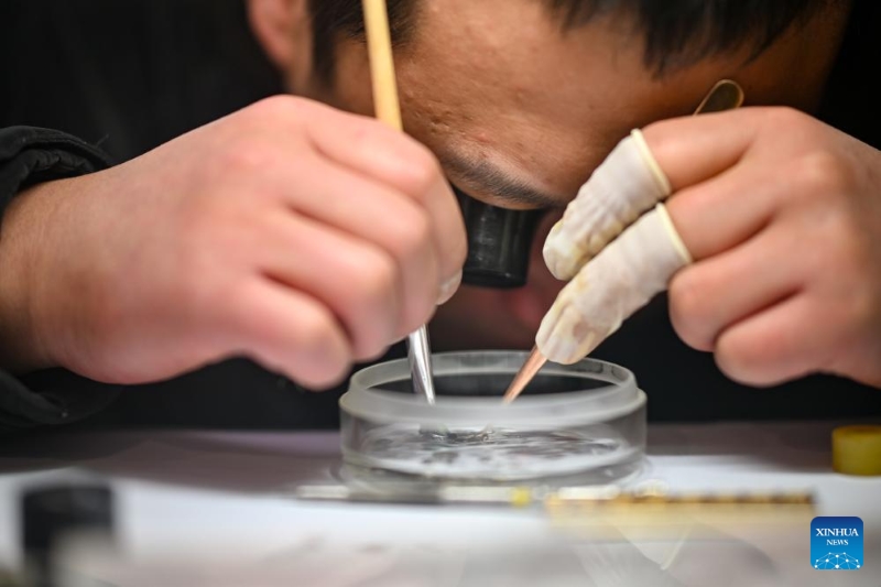 Tianjin : « l'allée des réparations » devient un centre animé pour les services de réparation adaptés aux quartiers de la ville