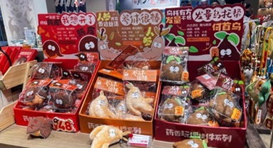 De remède à style de vie : la métamorphose de la MTC chez la jeunesse chinoise