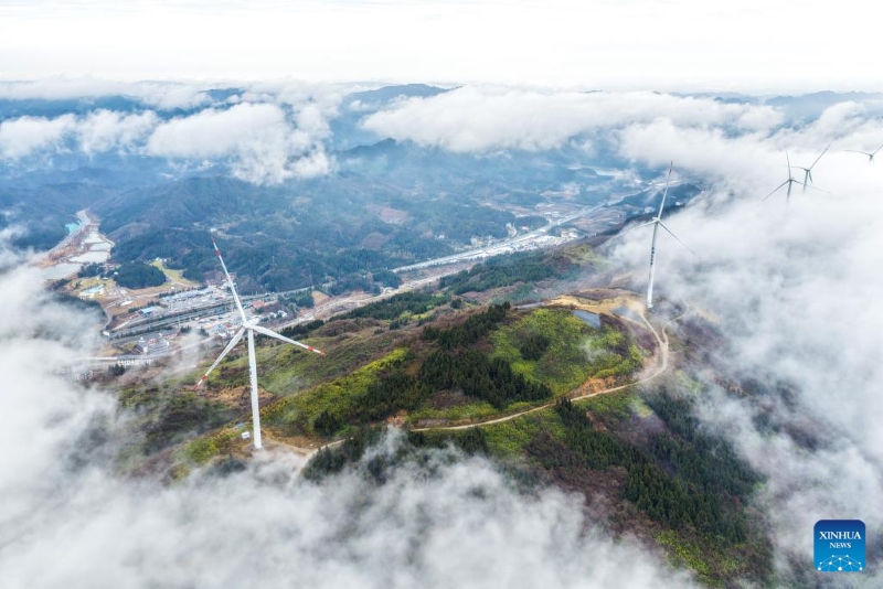 Chongqing : le canton de Lengshui développe les visites de loisirs pour stimuler le tourisme