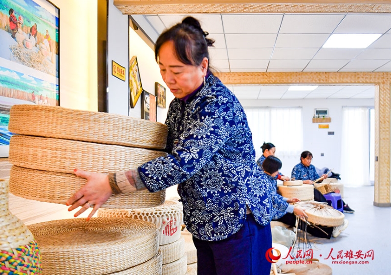 Hebei : du gaspillage des joncs à « l'herbe à argent » avec un atelier de création de richesse à Xiong'an