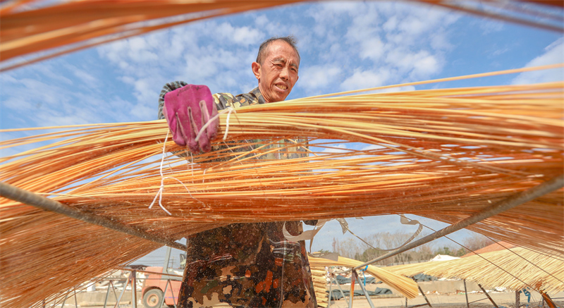 Un ouvrier sèche des bandes de bambou transformées dans le village de Shigugang du comté de Changxing, à Huzhou, dans la province du Zhejiang (est de la Chine), le 16 décembre 2025. (Photo/Pic.people.com.cn)
