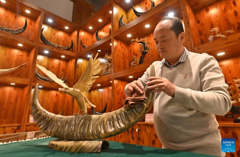 Long Shunzhou, héritier de la technique de sculpture sur corne de bovin de Wuling, s'occupe d'une œuvre d'art en corne de bovin dans le canton de Wuling du comté de Binyang, dans la région autonome Zhuang du Guangxi (sud de la Chine), le 16 décembre 2025. (Xinhua/Lu Boan)