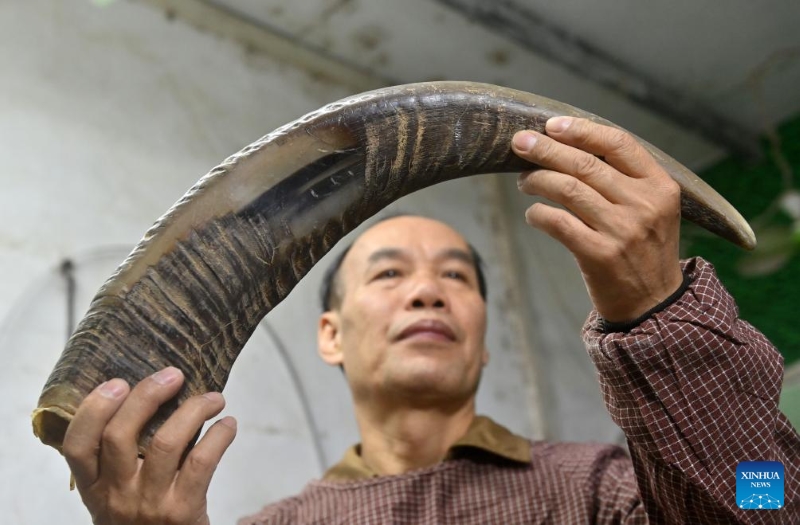 Guangxi : l'artisanat de sculpture sur corne de bovins prospère à Wuling