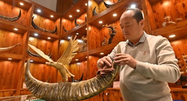 Guangxi : l'artisanat de sculpture sur corne de bovins prospère à Wuling