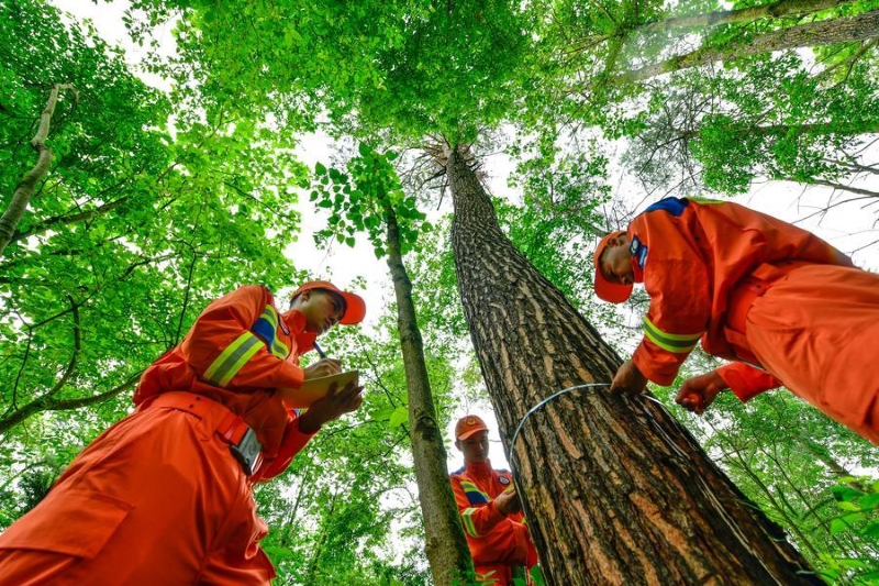 La Chine a obtenu des progrès constants en conservation écologique et transition verte pendant le 14e Plan quinquennal