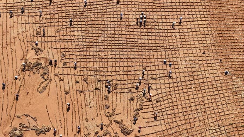 La Chine a obtenu des progrès constants en conservation écologique et transition verte pendant le 14e Plan quinquennal