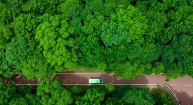 La Chine a obtenu des progrès constants en conservation écologique et transition verte pendant le 14e Plan quinquennal