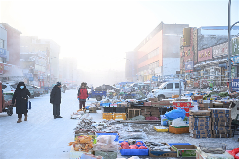 Mongolie intérieure : - 45 degrés ! La ville de Genhe bat des records de froid