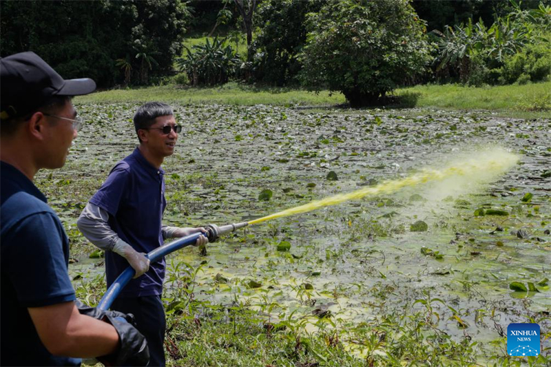 Là où l'eau potable coule, la maladie recule : les efforts chinois de lutte contre la bilharziose sauvent des vies à Zanzibar