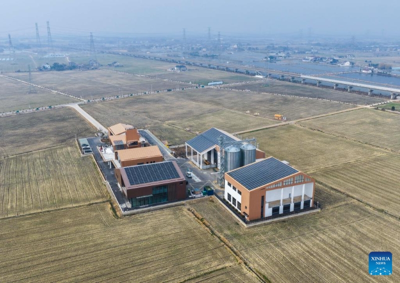 Zhejiang : le canton de Lyushan multiplie les efforts pour favoriser une revitalisation rurale globale