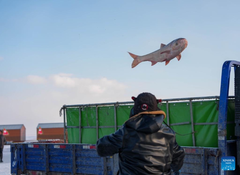 Jilin : un rituel de pêche sur glace ancestral attire des foules au bord du lac Chagan