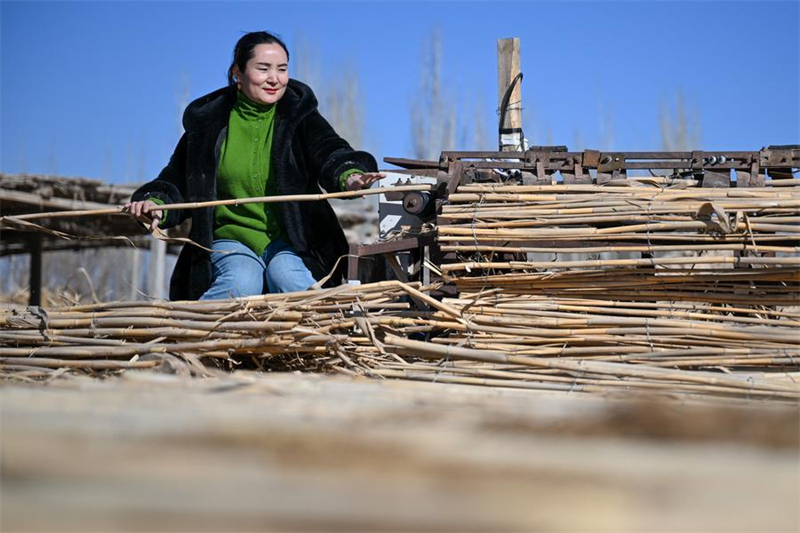 Xinjiang : les agriculteurs locaux luttent contre la désertification dans le comté de Moyu