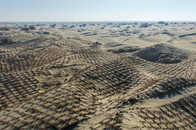 Xinjiang : les agriculteurs locaux luttent contre la désertification dans le comté de Moyu